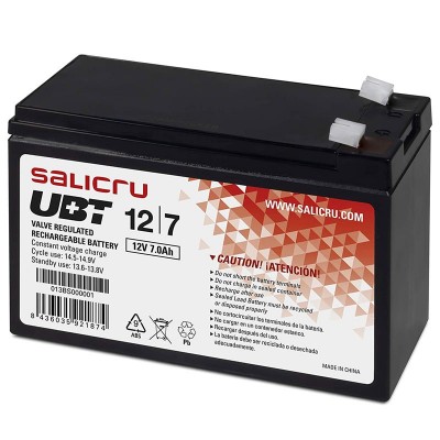 Salicru UBT 124,5